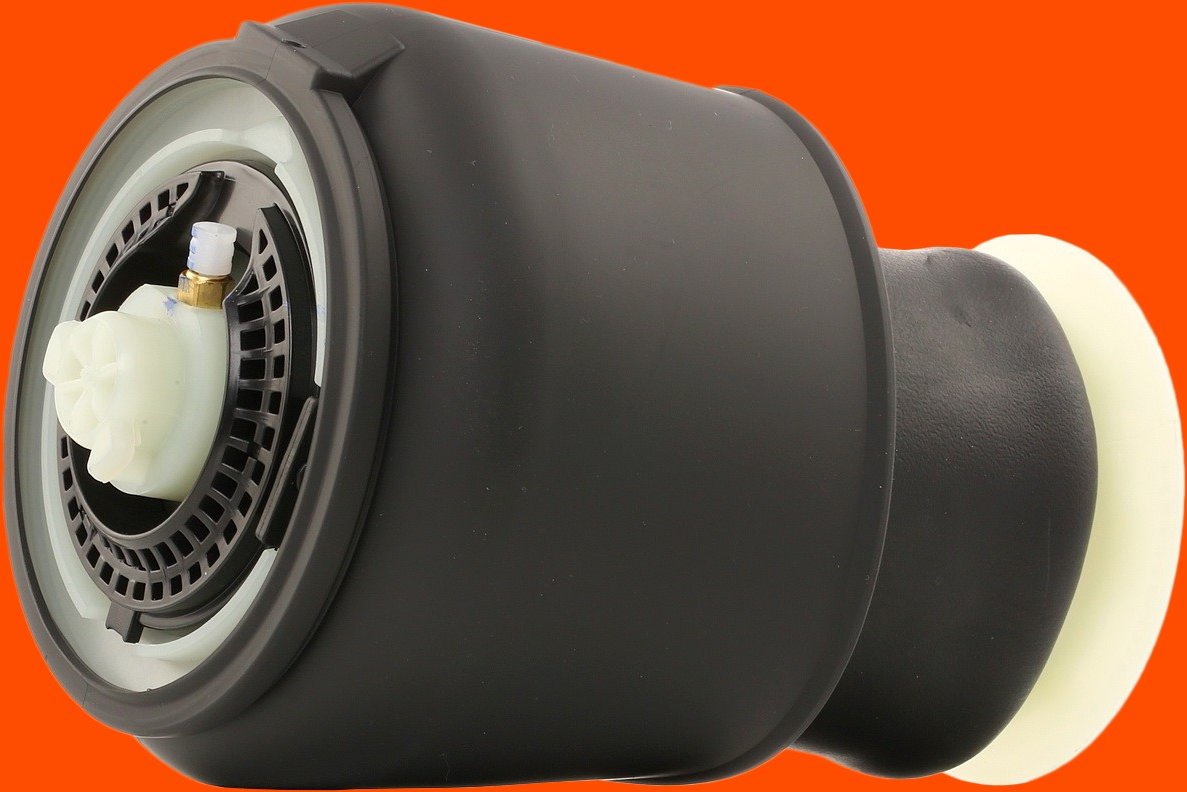 RIDEX Luftfeder, Fahrwerk Hinterachse 4119A0018 BMW,5 Touring (F11),5 GT (F07)