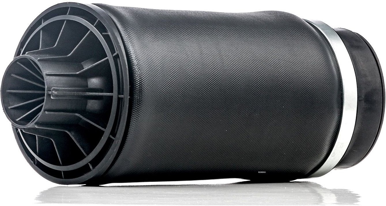 RIDEX Luftfeder, Fahrwerk Hinterachse 4119A0011 MERCEDES-BENZ,R-Klasse (W251, V251)