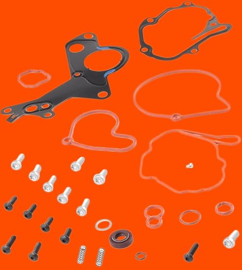 JP GROUP Dichtungssatz, Unterdruckpumpe JP GROUP 1117150710 VW,AUDI,FORD,Golf IV Schrägheck (1J1),Golf V Schrägheck (1K...