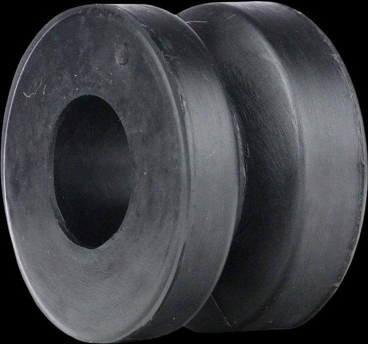 TEDGUM Querlenkerlager Vorderachse 00466829 Querlenkerbuchse,Querlenkergummi NISSAN,TERRANO II (R20),TERRANO I (WD21),Pa...