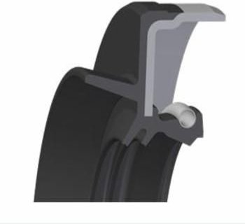 CORTECO Wellendichtring, Differential 20033804B RENAULT,NISSAN,DACIA,Clio III Schrägheck (BR0/1, CR0/1),CLIO II (BB0/1/...