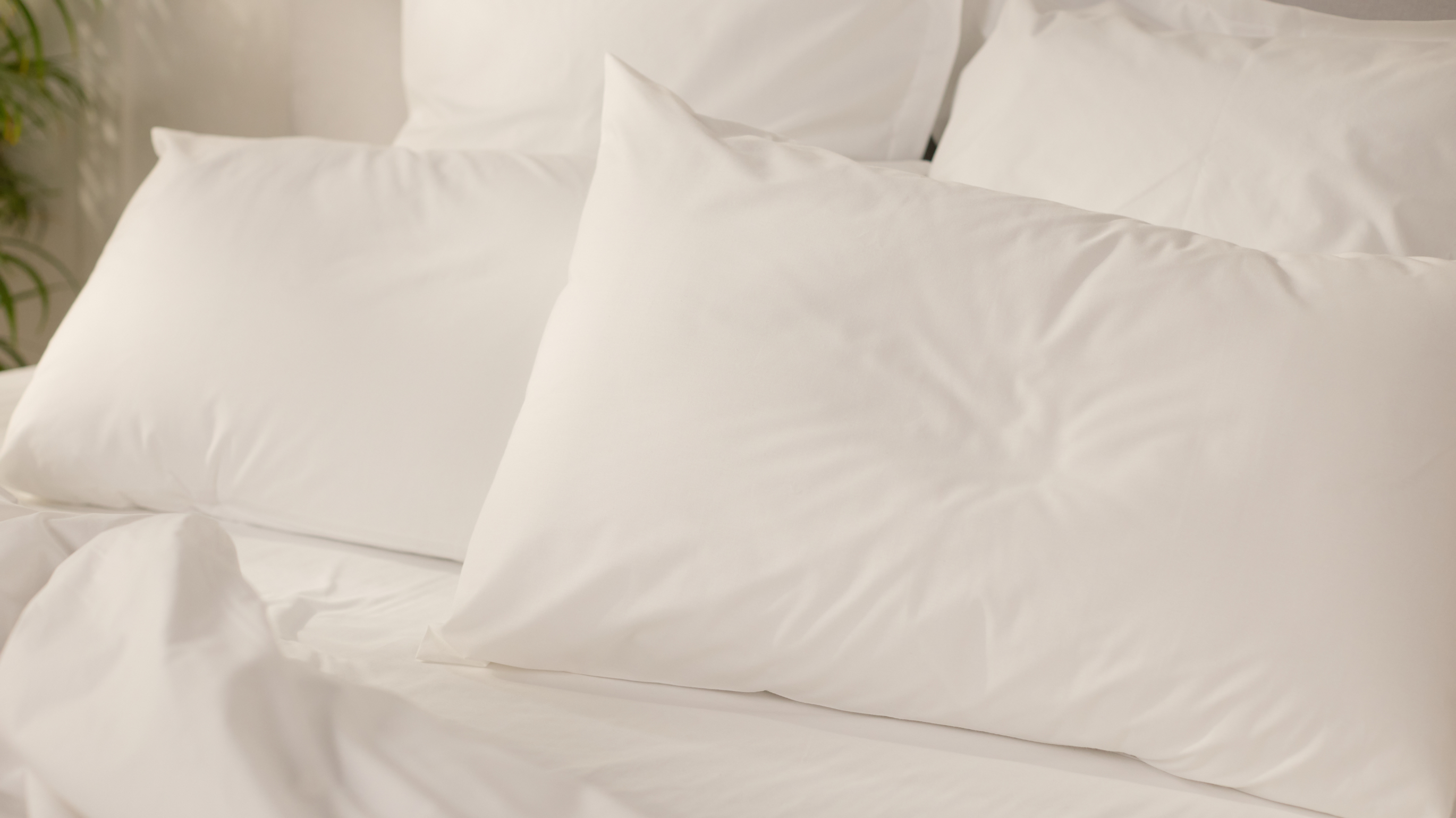 (Doppelpack) Emma Classic Kopfkissenbezüge