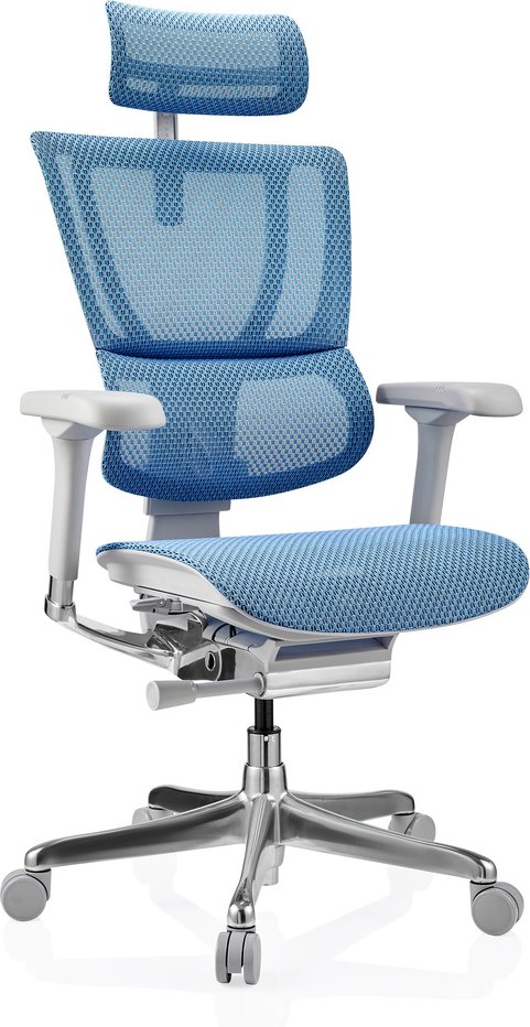 ERGOHUMAN SLIM G GEN2 | Netz - Luxus Chefsessel Blau
