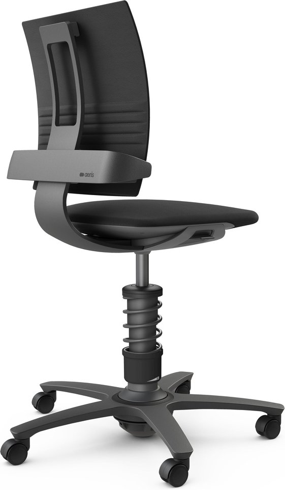 AERIS 3DEE - Swopper Standard Leder Gestell Schwarz Schwarz