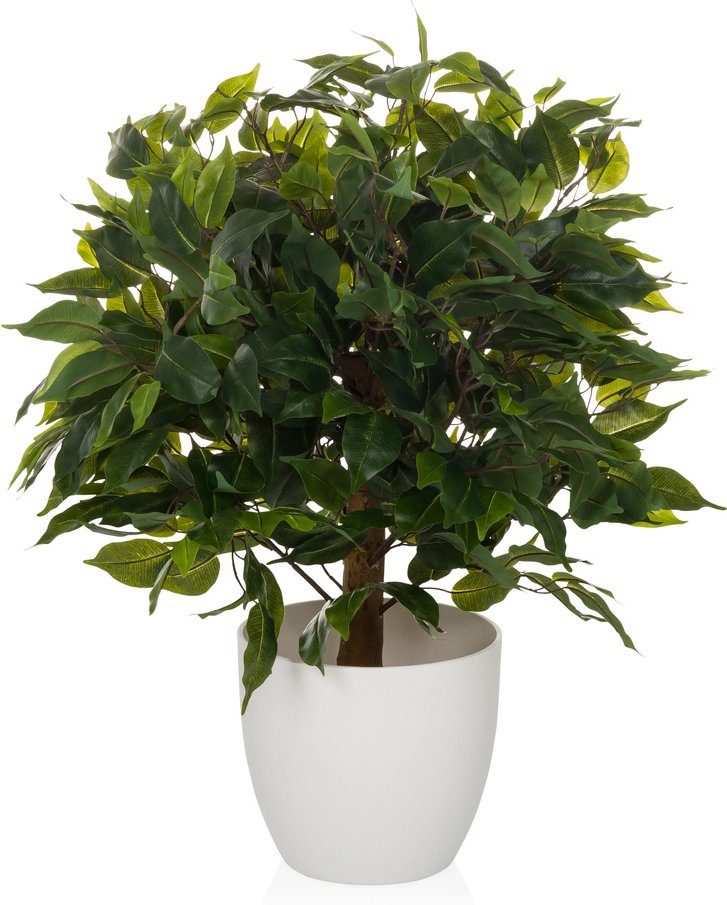 FICUS II - Kunstpflanze Grün