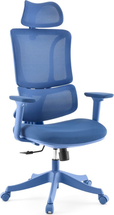 Ergomy Colore | Stoff / 3D Netz | Rahmen: Bunt - Home Office Bürostuhl Blau