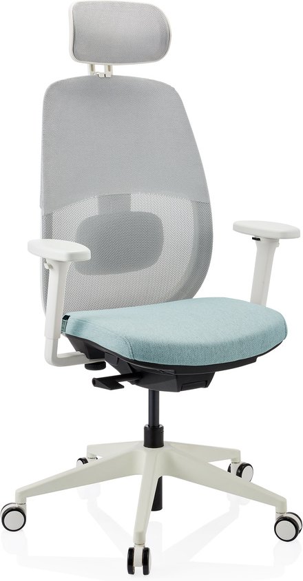 Skandis Pro | mit Kopfstütze | Rahmen: Weiß - Profi Bürostuhl Mint / Weiß