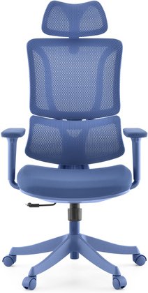 Ergomy Colore | Stoff / 3D Netz | Rahmen: Bunt - Home Office Bürostuhl Blau