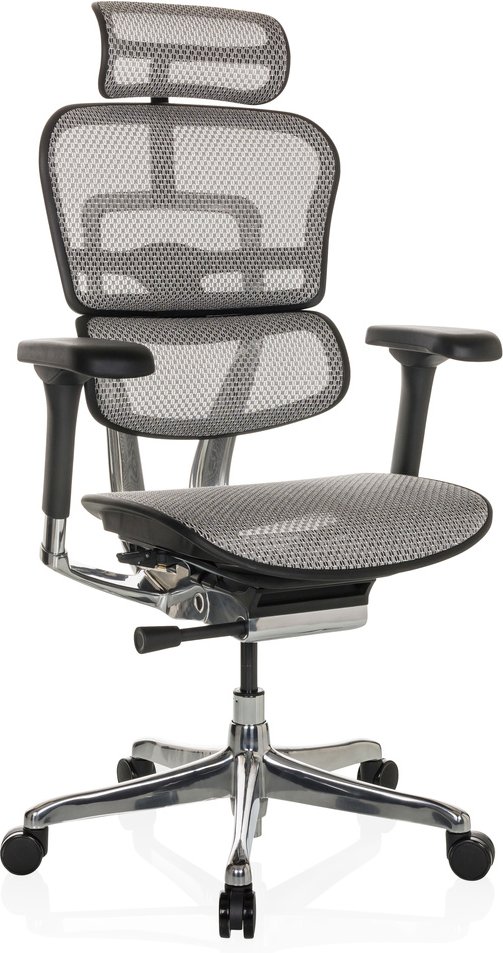 ERGOHUMAN GEN2 | Netz - Luxus Chefsessel Hellgrau