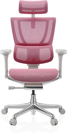ERGOHUMAN SLIM G GEN2 | Netz - Luxus Chefsessel Rosa