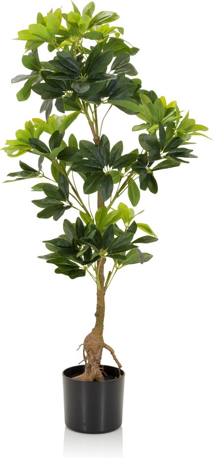 SCHEFFLERA - Kunstpflanze Grün
