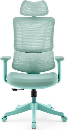 Ergomy Colore | Stoff / 3D Netz | Rahmen: Bunt - Home Office Bürostuhl Türkis