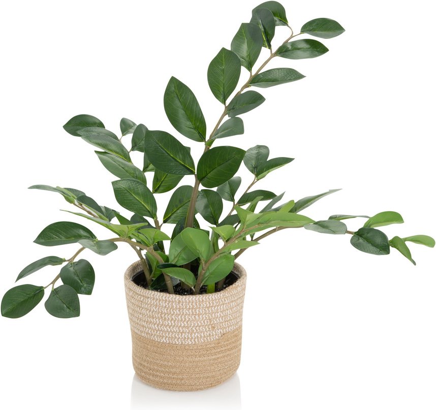 ZAMIE - Kunstpflanze Grün