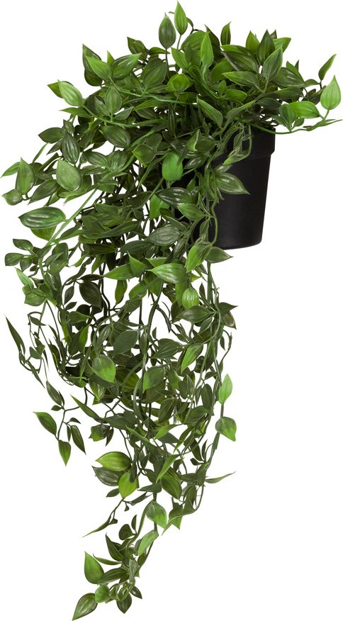 Epipremnum Climb - Kunstpflanze Grün