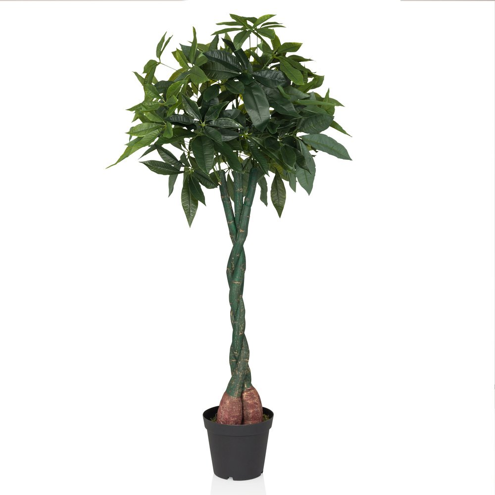 PACHIRA - Kunstpflanze Grün