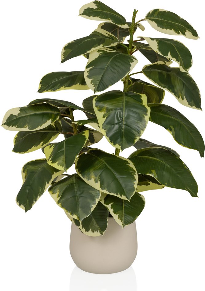 Ficus 3 - Kunstpflanze Grün / Weiß