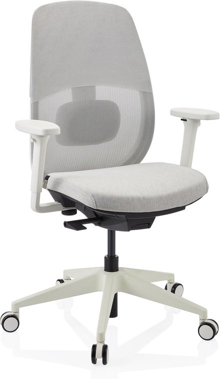 Skandis | ohne Kopfstütze - Profi Bürostuhl Grau / Weiß
