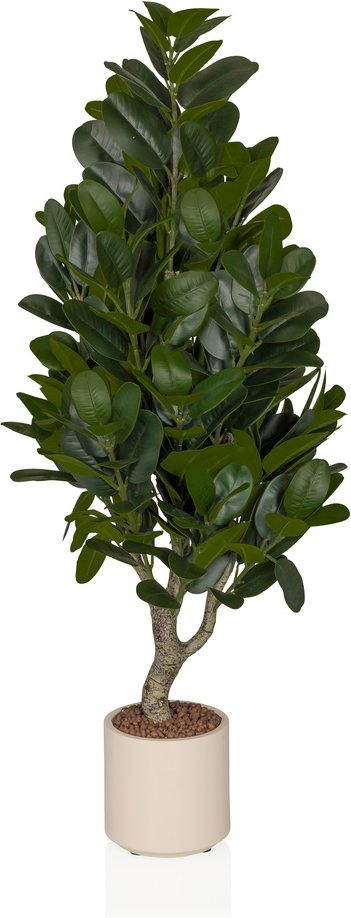 Garcinia - Kunstpflanze Grün