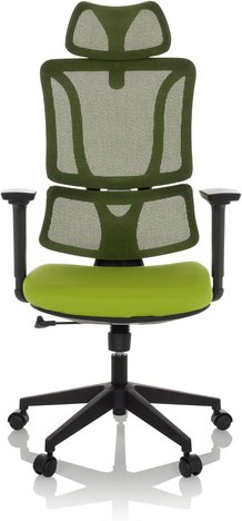 ERGOMY | Stoff / Netz | Rahmen: Schwarz - Home Office Bürostuhl Grün