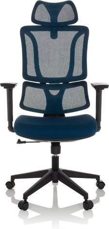 ERGOMY | Stoff / Netz | Rahmen: Schwarz - Home Office Bürostuhl Blau