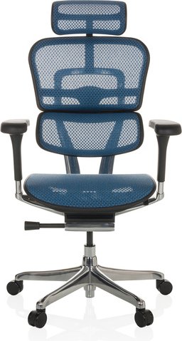 ERGOHUMAN GEN2 | Netz - Luxus Chefsessel Blau