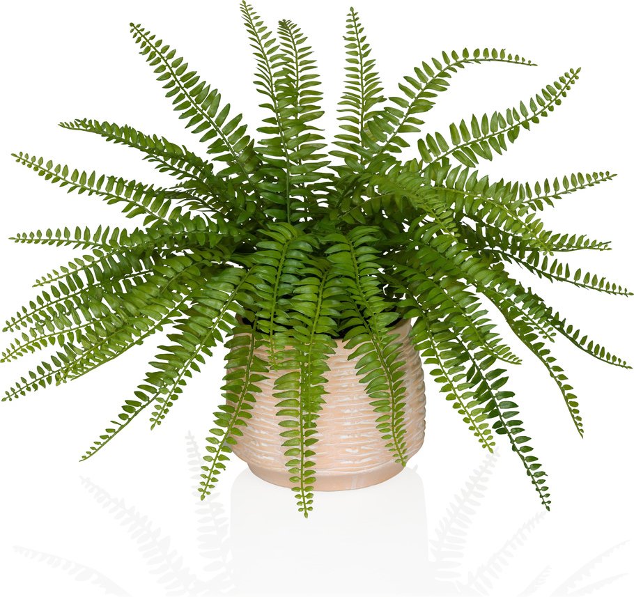 Proliferum - Kunstpflanze Grün