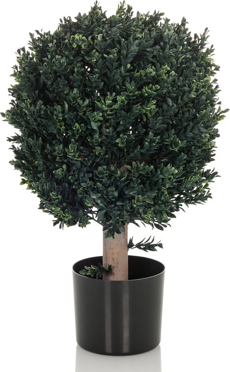 Thumbnail - BUXUS - Kunstpflanze Grün