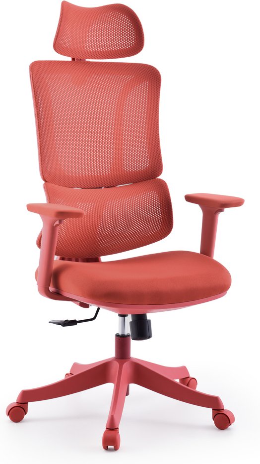 Ergomy Colore | Stoff / 3D Netz | Rahmen: Bunt - Home Office Bürostuhl Rot