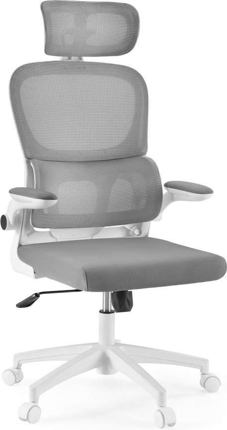 ERGOMY FLEX - Home Office Bürostuhl Grau