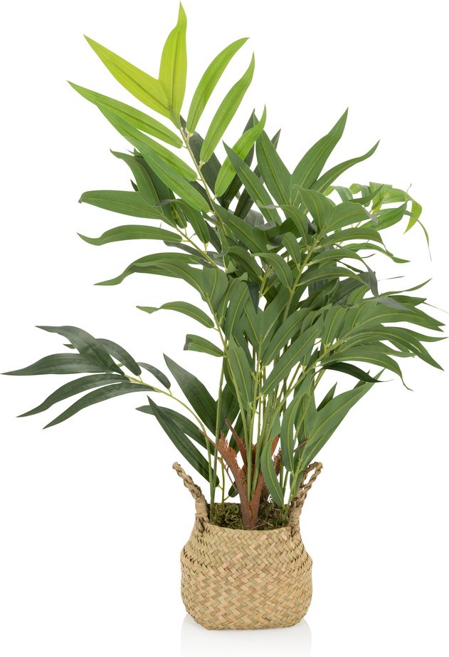 CHAMAEDOREA - Kunstpflanze Grün
