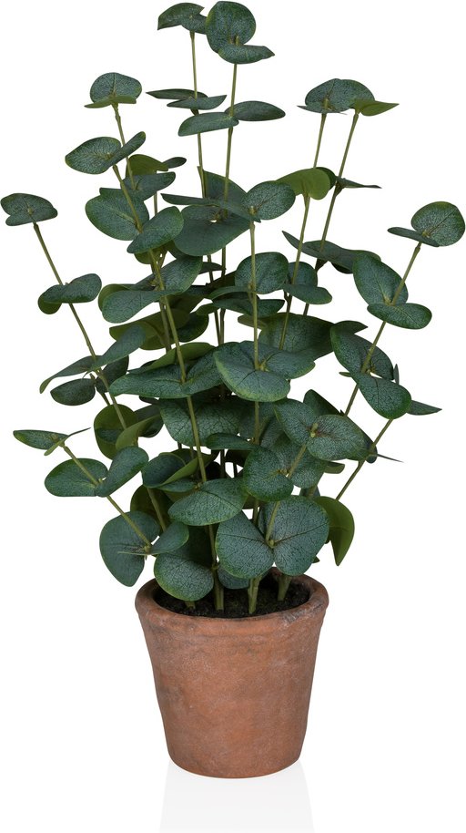 Eucalyptus - Kunstpflanze Grün