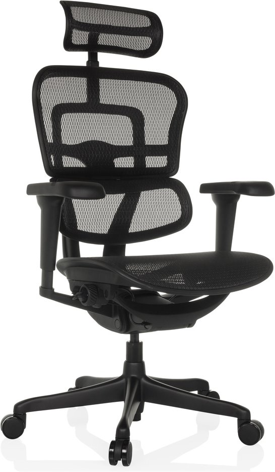 ERGOHUMAN SIGNATURE GEN2 | Netz - Luxus Chefsessel Schwarz