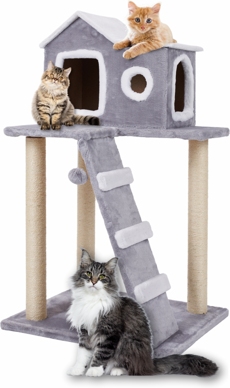 Kratzbaum FILOU 100 cm hoch Kratzmöbel mit Kuschelhöhle Leiter und Spielball