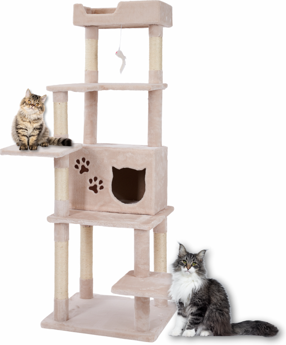 Kratzbaum GINNY 155 cm hoch Stabil & platzsparend mit Kuschelhöhle und 5 Ebenen