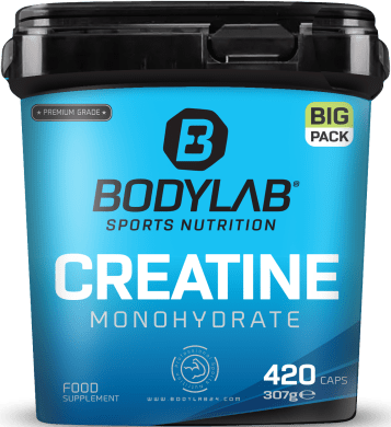 BIG PACK Creatine Monohydrate (420 Kapseln)