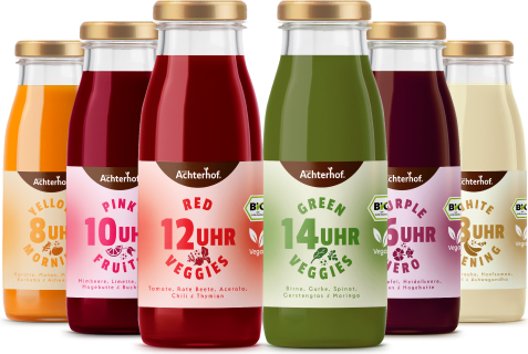 Saftzeit Bio Fastenkur 1 Tag (6 Flaschen)