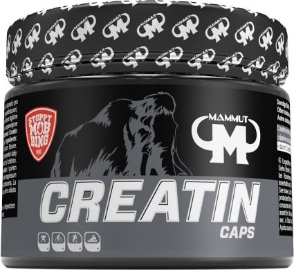 Creatin (240 Kapseln)