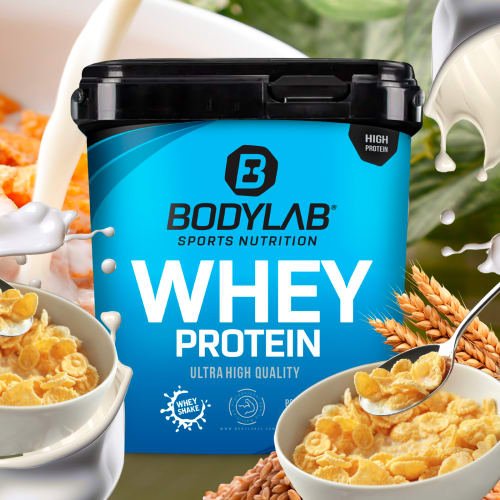 Whey Protein - 1000g - Cornflakes