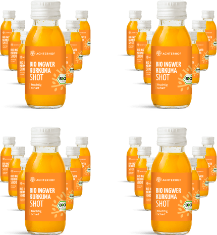 Monatskur Ingwer Kurkuma Shot Bio
