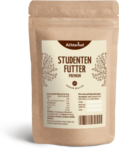 Studentenfutter (500g)