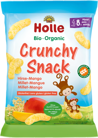 Bio Crunchy Snack Hirse Mango (25g)
