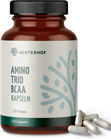 BCAA (120 Kapseln)