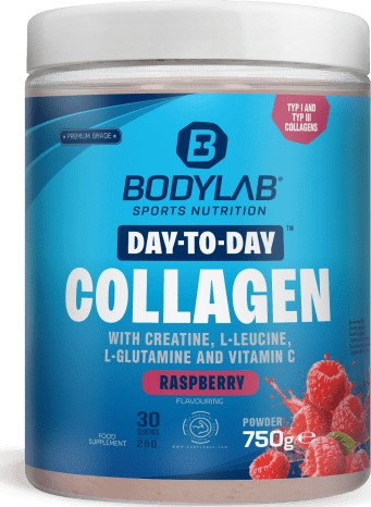 Day to Day Collagen - 750g - Raspberry
