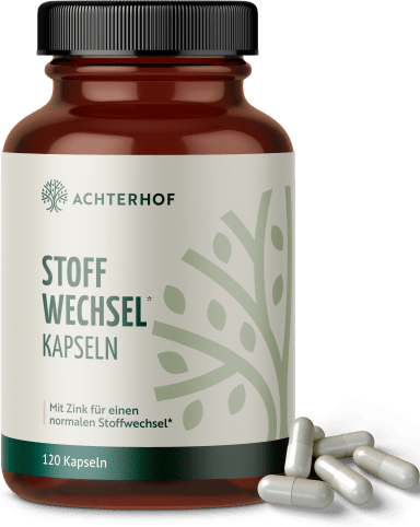 Stoffwechsel Kapseln (120 Kapseln)