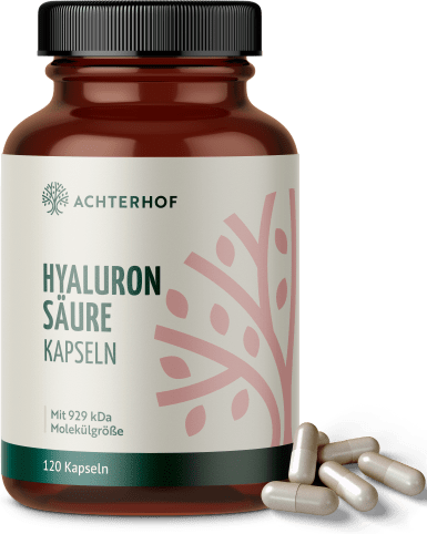 Hyaluronsäure Kapseln (120 Kapseln)