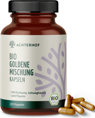 Goldene Mischung Kapseln Bio – mit Piperin (120 Kapseln)