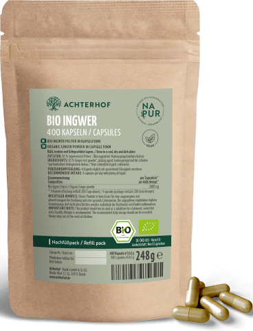 Bio Ingwer Kapseln Nachfüllpack (400 Kapseln)