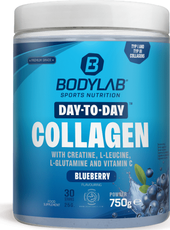Day to Day Collagen (750g)