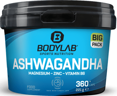 BIG PACK Ashwagandha + Magnesium - Zinc - Vitamin B6 (360 Kapseln)