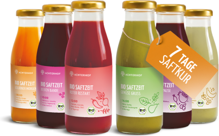 Saftzeit Bio Fastenkur 7 Tage (42 Flaschen)